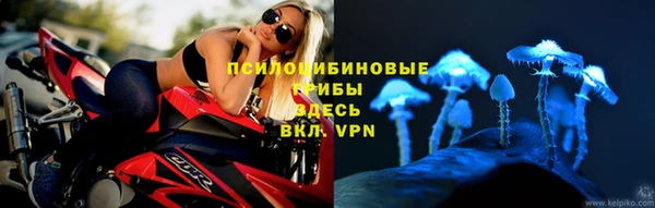 PSILOCYBIN Арсеньев