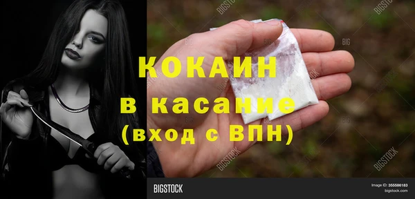 ешки Аркадак
