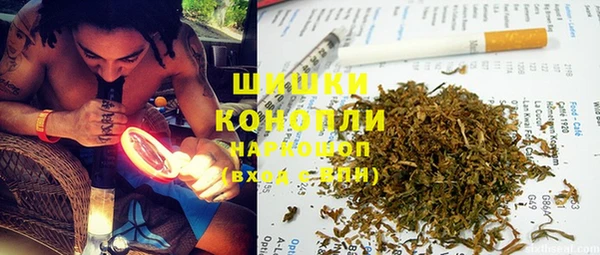 PSILOCYBIN Арсеньев