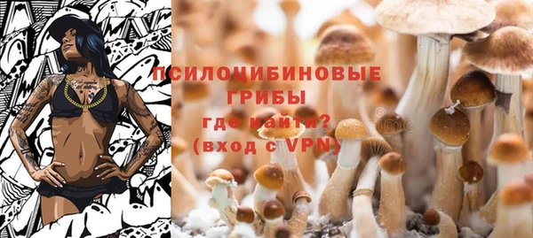 ешки Аркадак
