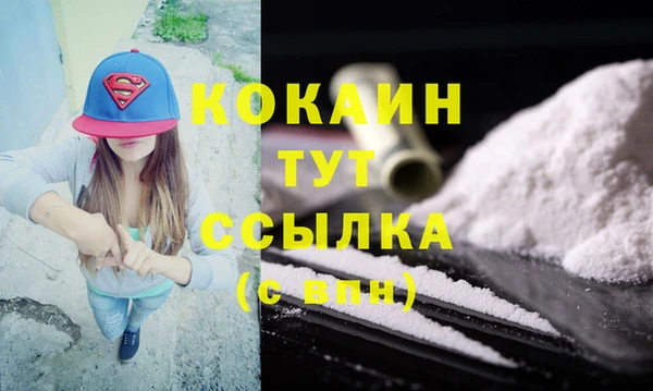 ешки Аркадак