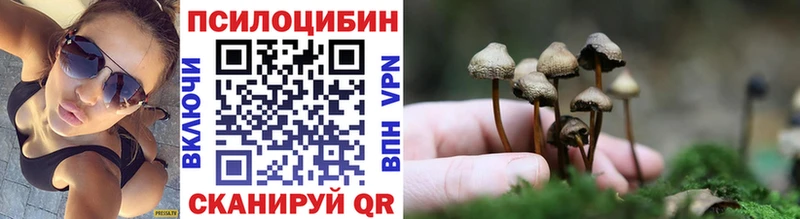 кракен ССЫЛКА  Сертолово  darknet как зайти  Псилоцибиновые грибы ЛСД 