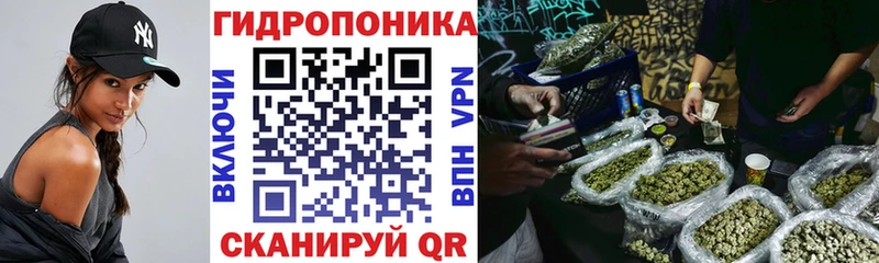 Конопля гибрид  мориарти официальный сайт  Сертолово 